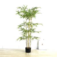 uploads/erp/collection/images/Home Garden/dgjiawang/XU0612629/img_b/XU0612629_img_b_4
